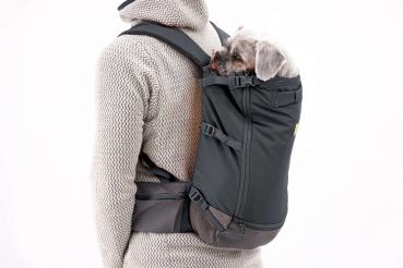 Ruffwear Hitch Hiker Dog Backpack Carrier Basalt Gray Gr. XXS